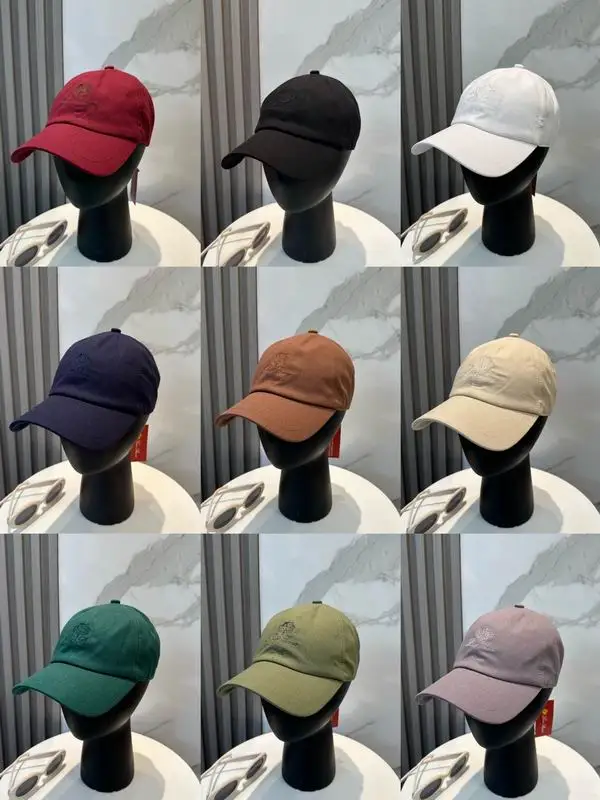 Loro Piana cap dx31